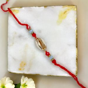 Shell Elegance Tied with Love